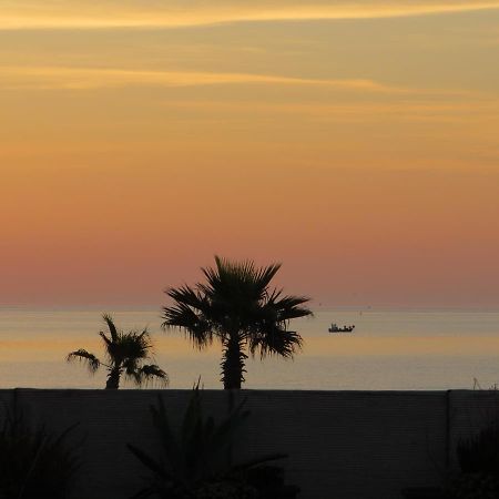 Ground Floor Studio With Access To Beach And Pool 르발카레스 외부 사진
